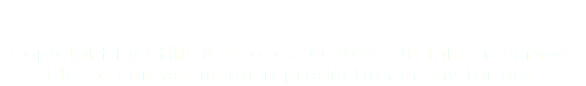 &nbsp;Copyright by Stills & Strokes, © 2024 all rights reserved.
Please contact us for reproduction in any format.